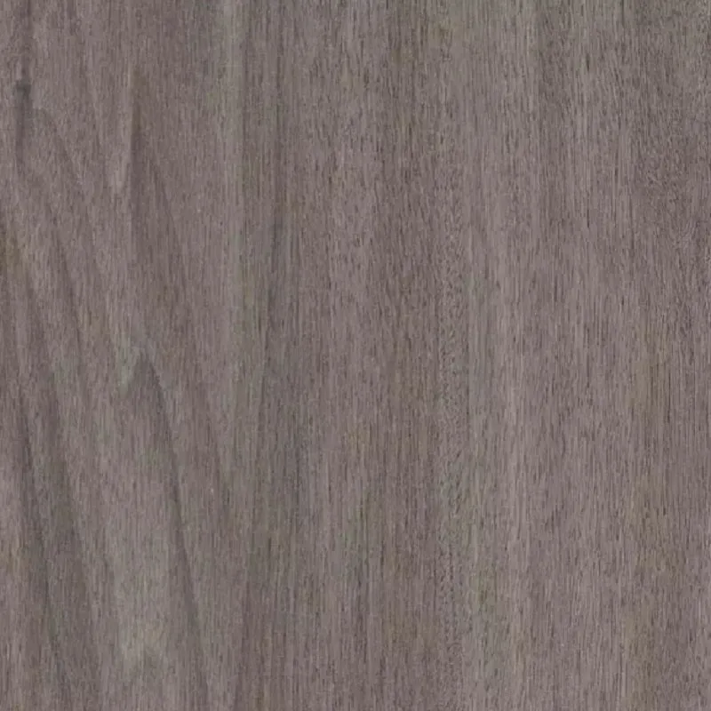 TLC Forest (Dartmouth Oak 5177)